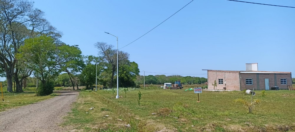 TERRENO