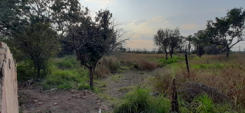 TERRENO