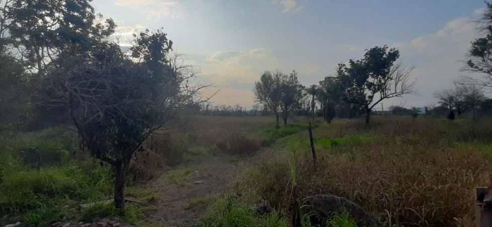 TERRENO