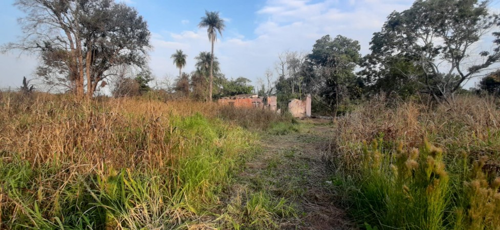 TERRENO