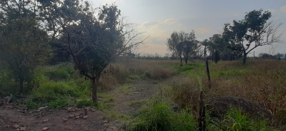 TERRENO