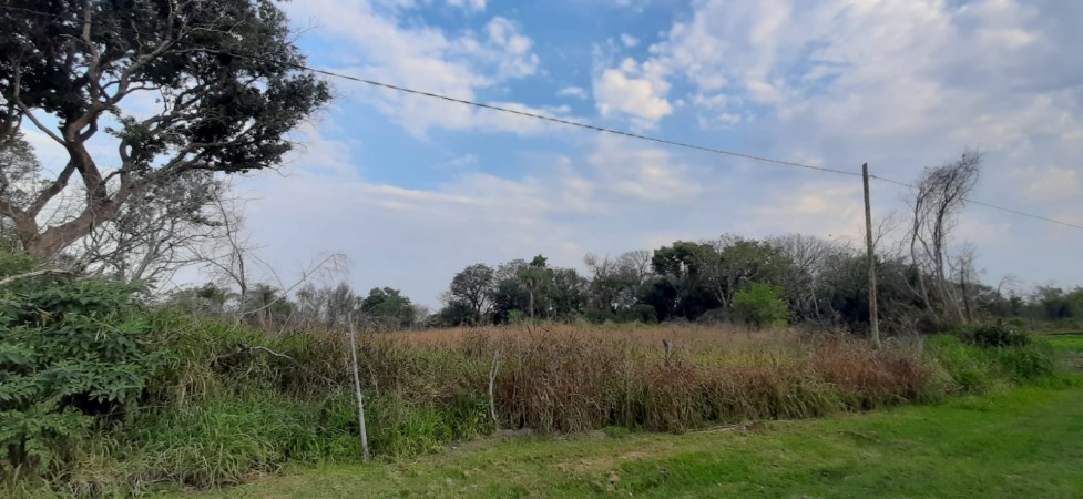 TERRENO