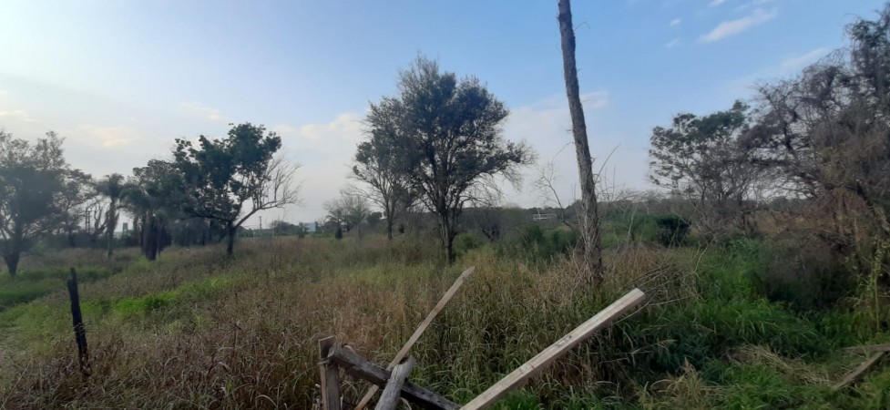 TERRENO
