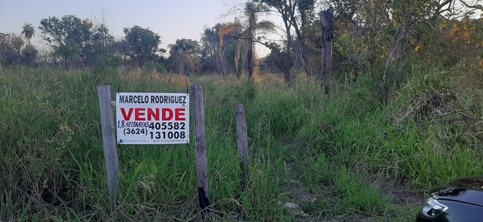 TERRENO