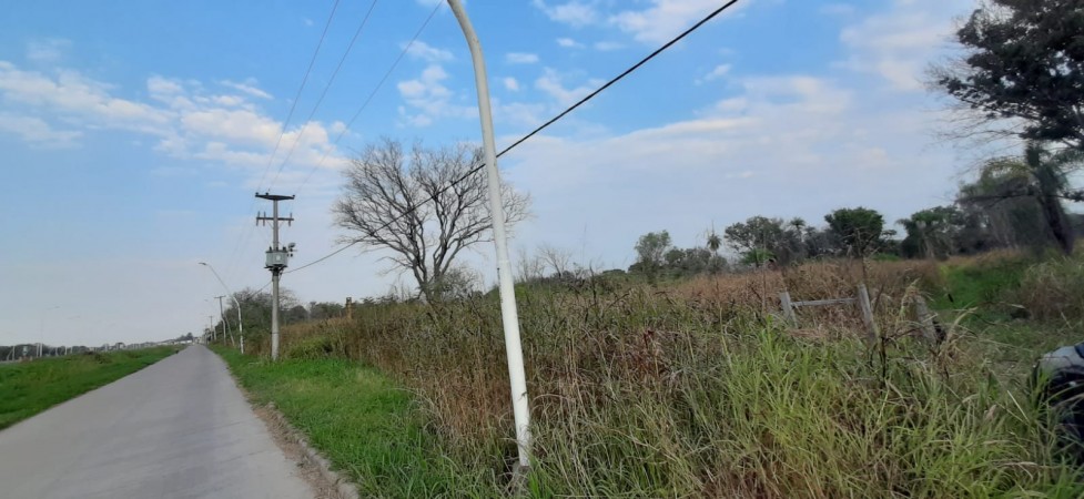 TERRENO