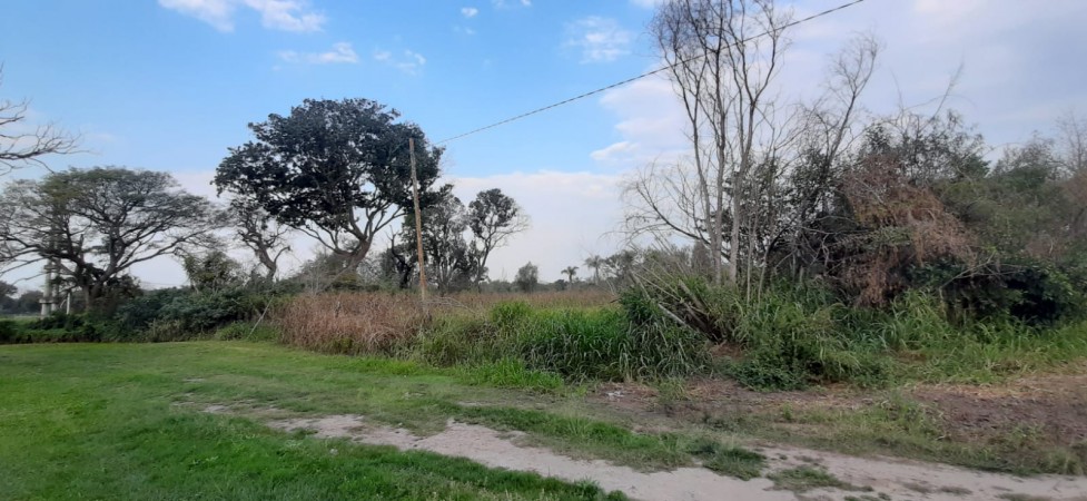 TERRENO