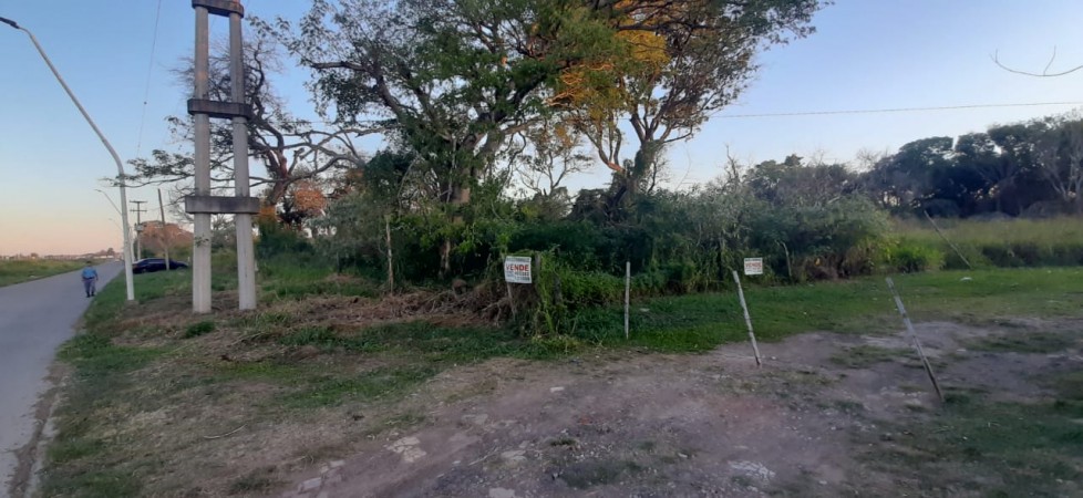 TERRENO