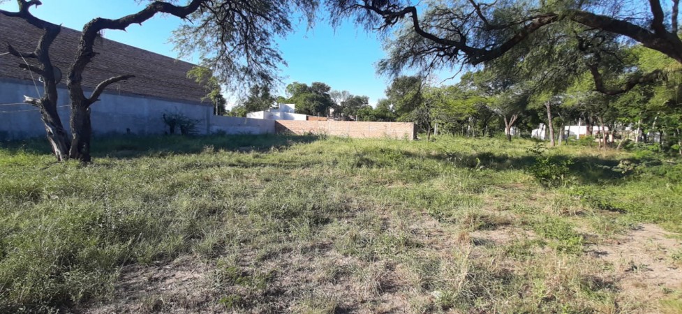 TERRENO
