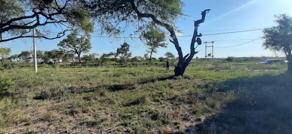 TERRENO