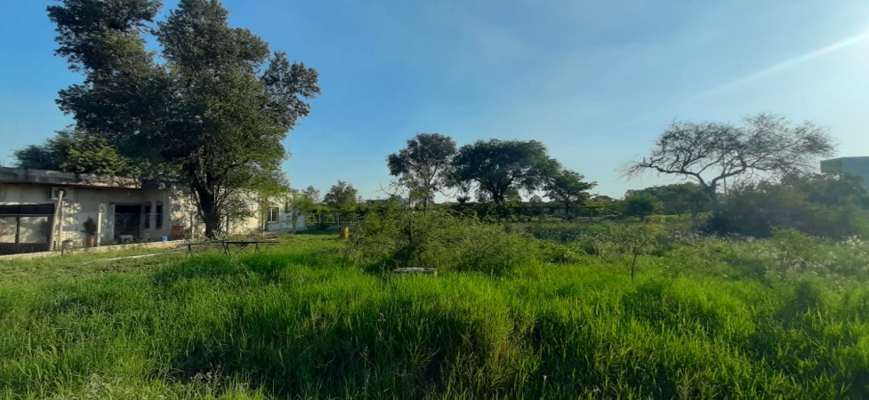 TERRENO