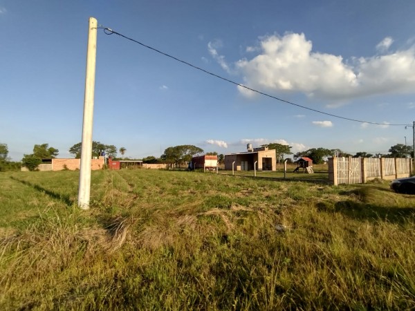 TERRENO