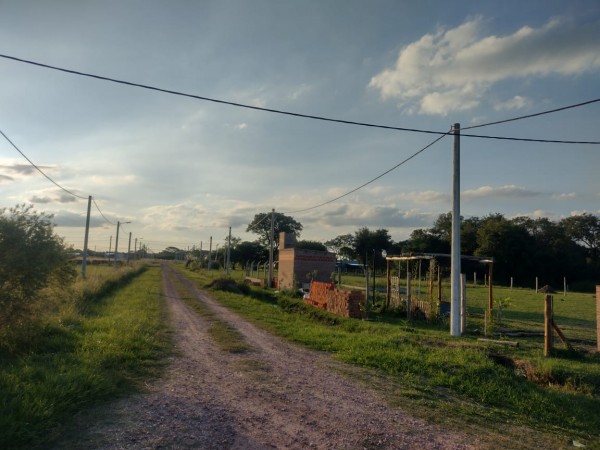 TERRENO