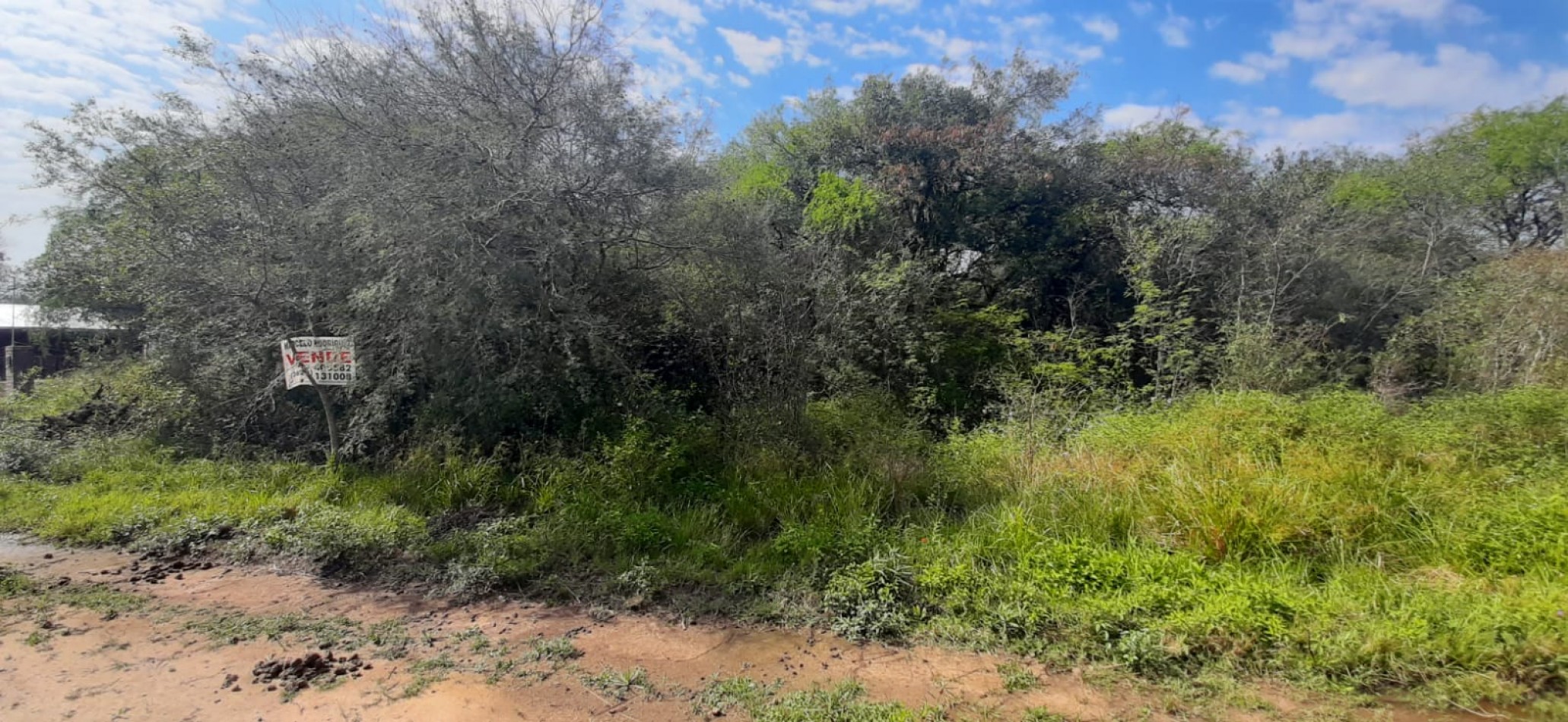 TERRENO