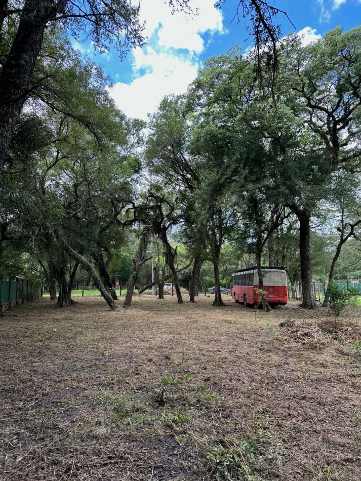 TERRENO