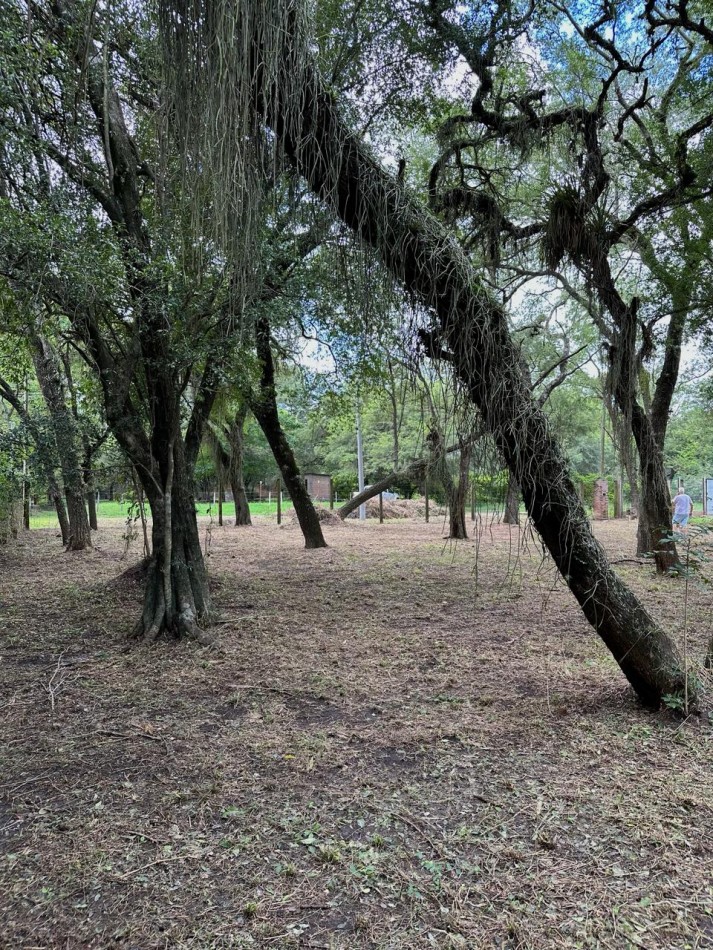 TERRENO