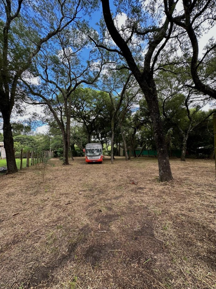 TERRENO