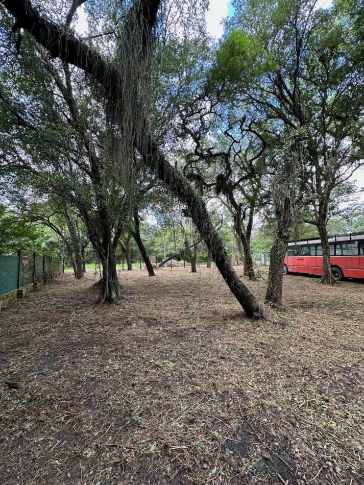 TERRENO