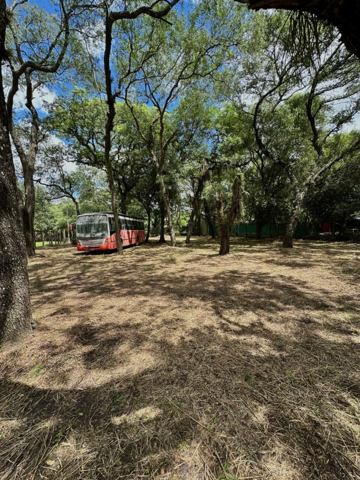 TERRENO