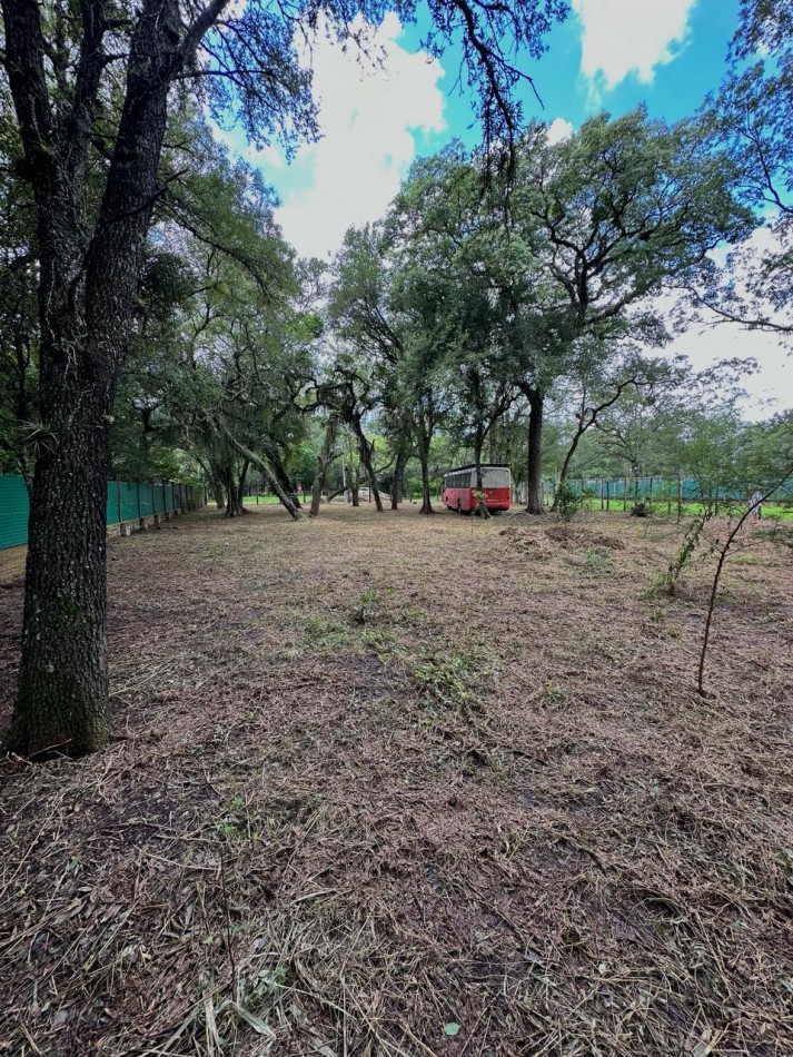 TERRENO