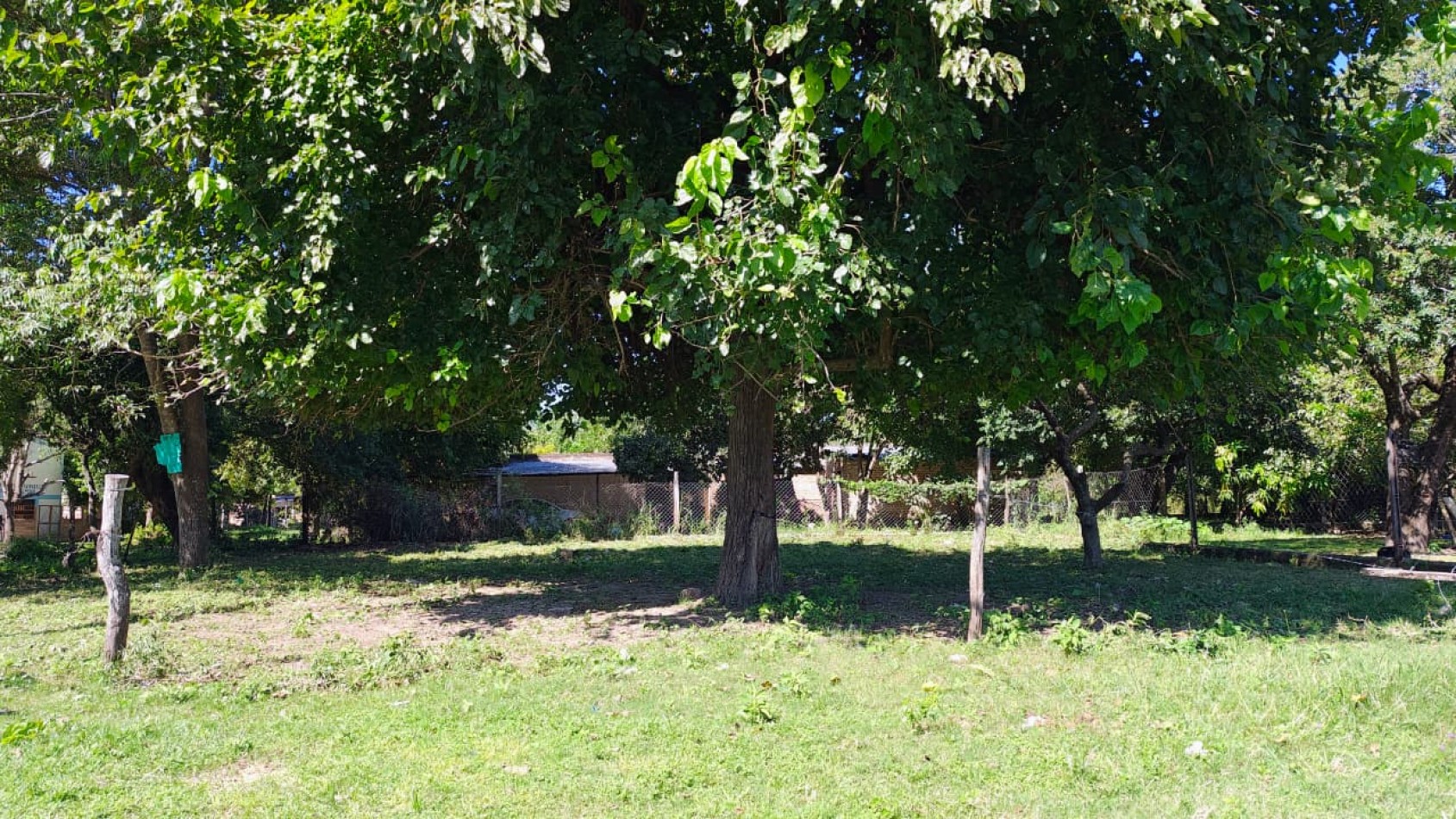 TERRENO 
