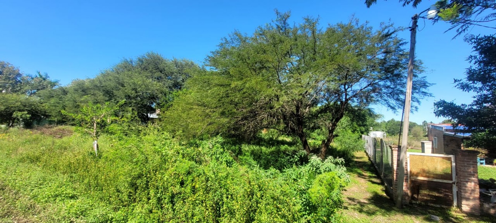 TERRENOS