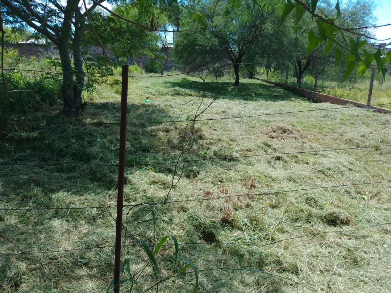 TERRENO