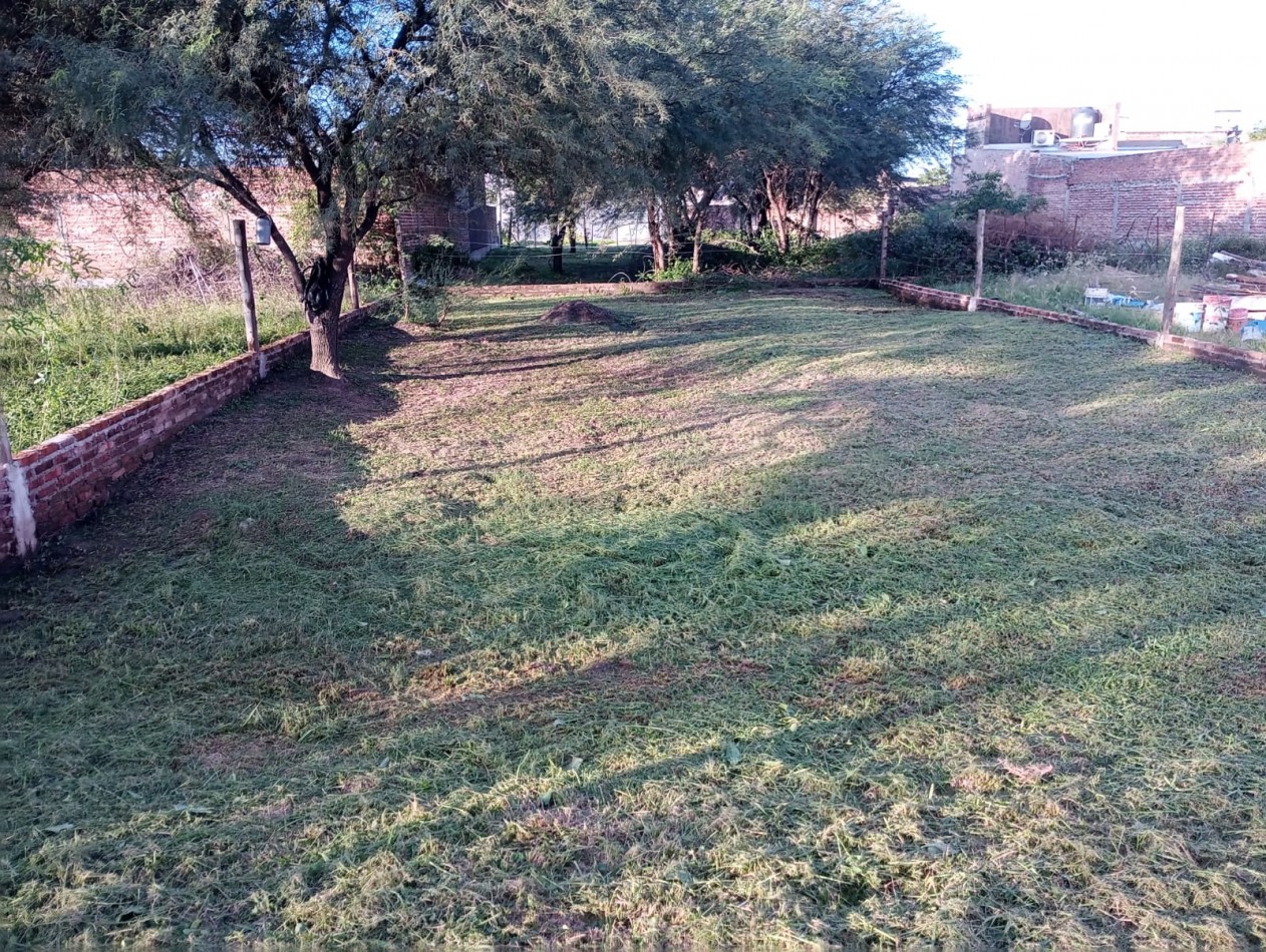 TERRENO