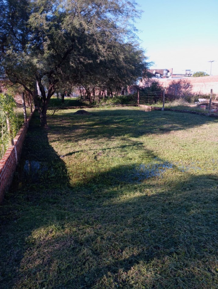 TERRENO