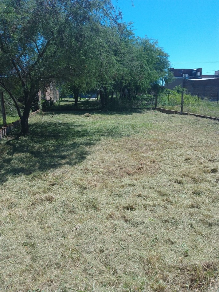 TERRENO