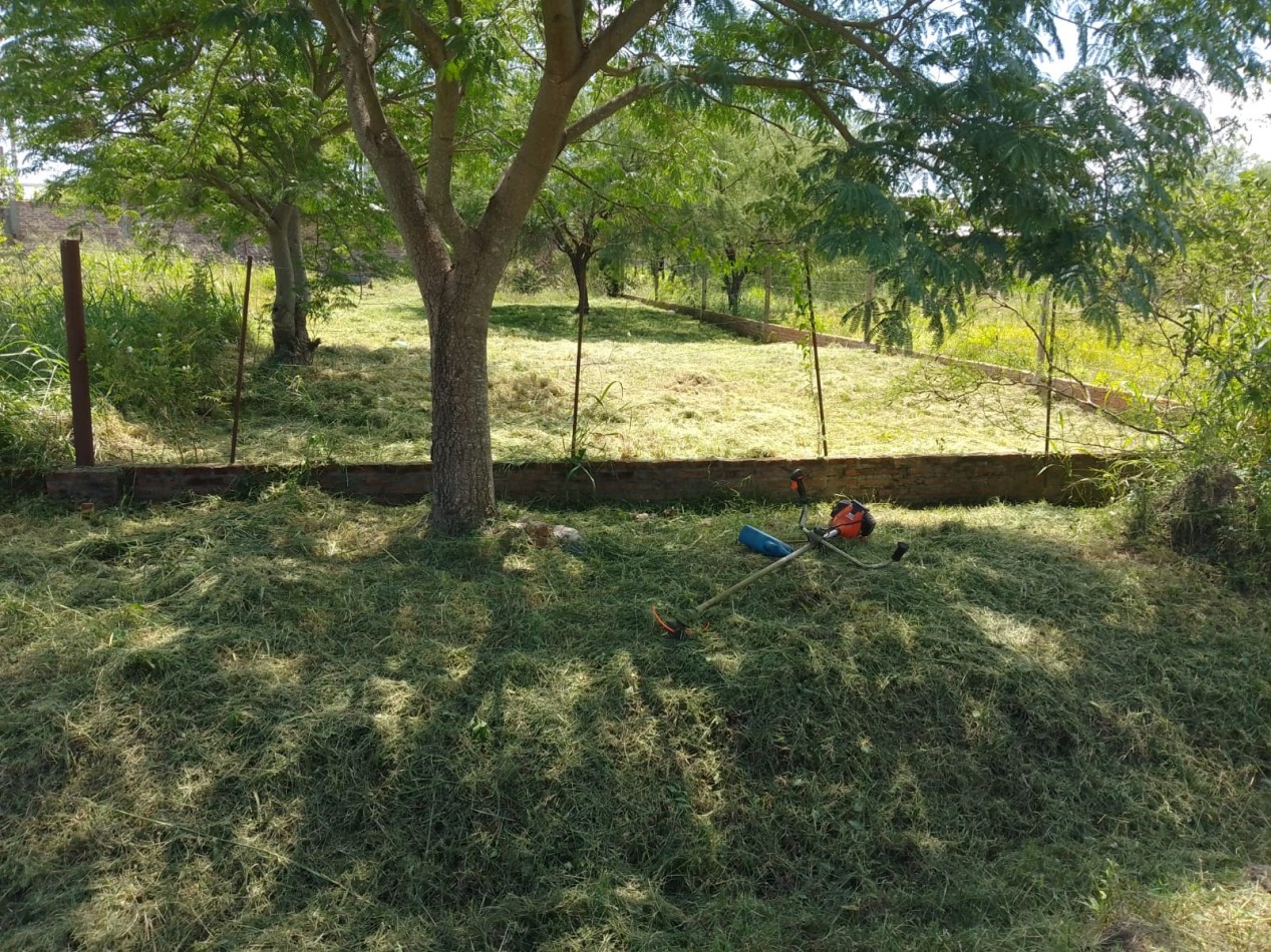 TERRENO
