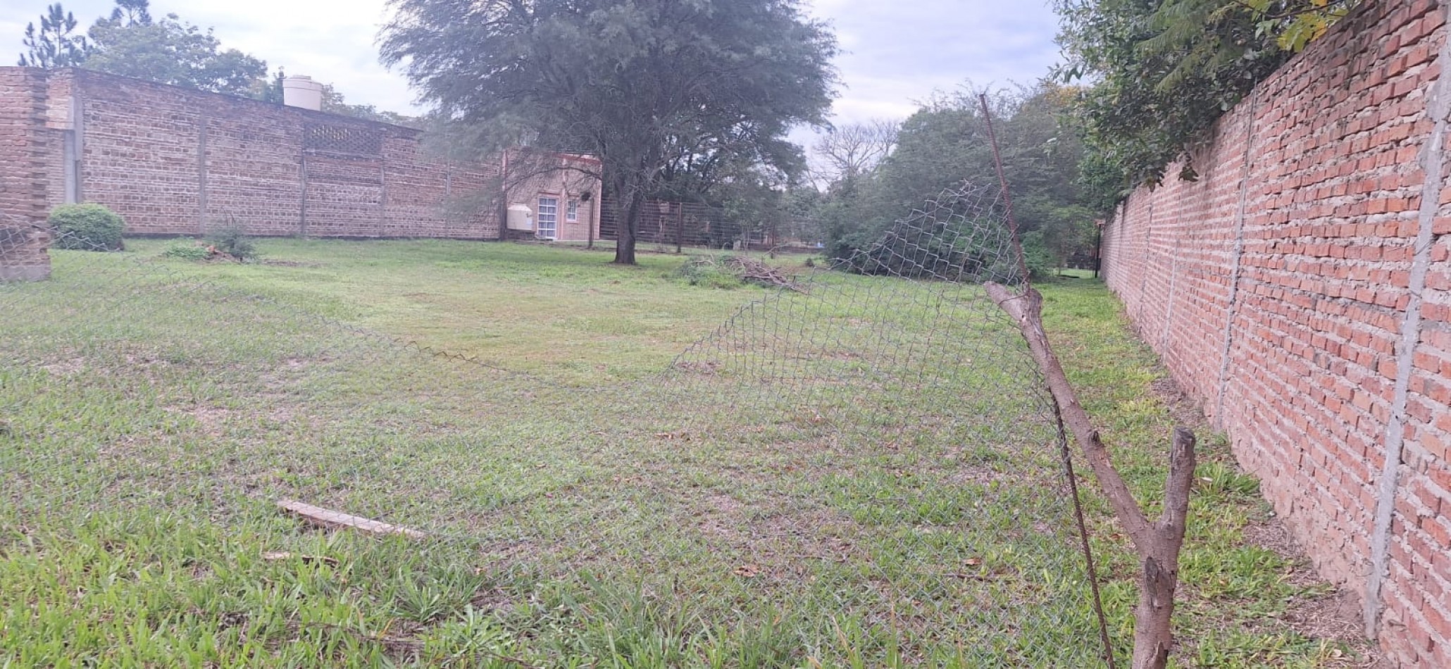 TERRENO