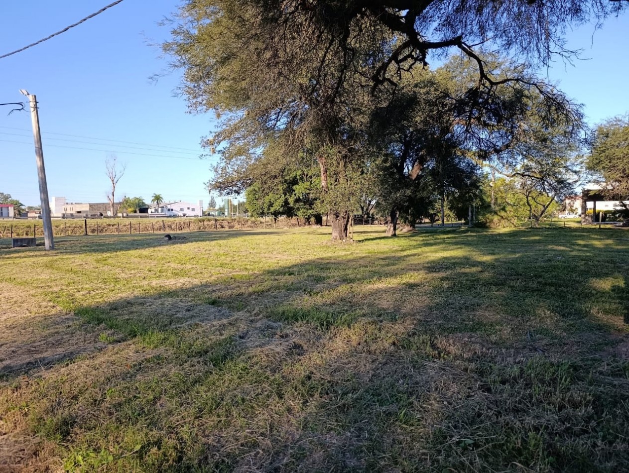 TERRENO