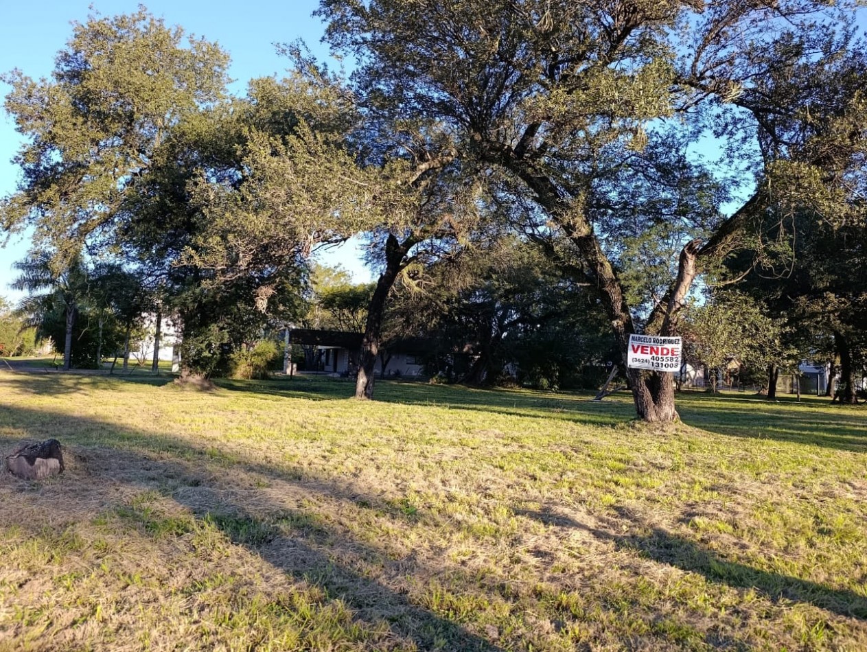 TERRENO