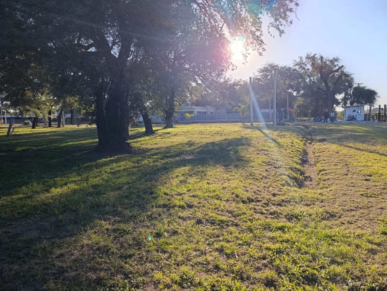 TERRENO