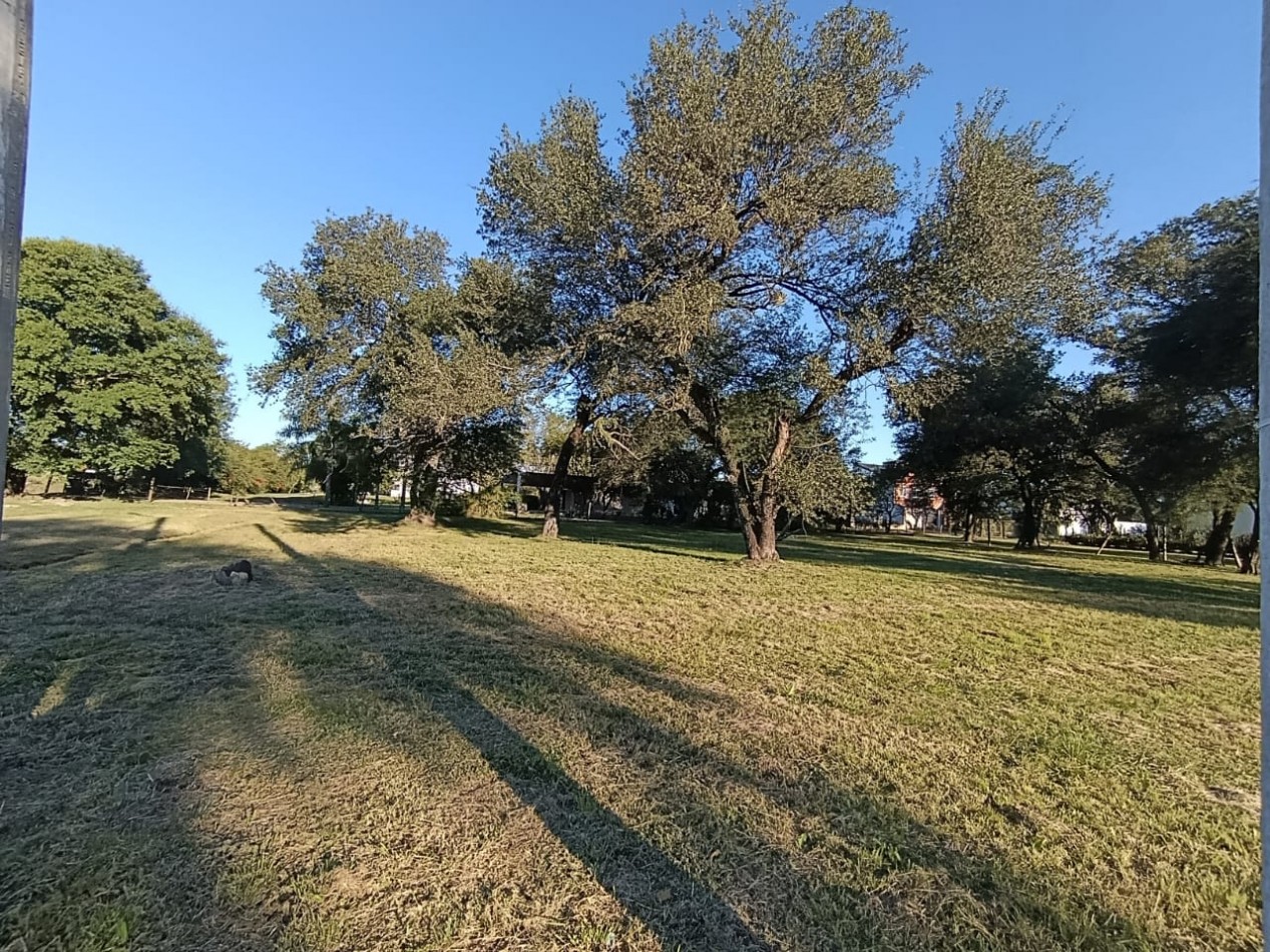 TERRENO