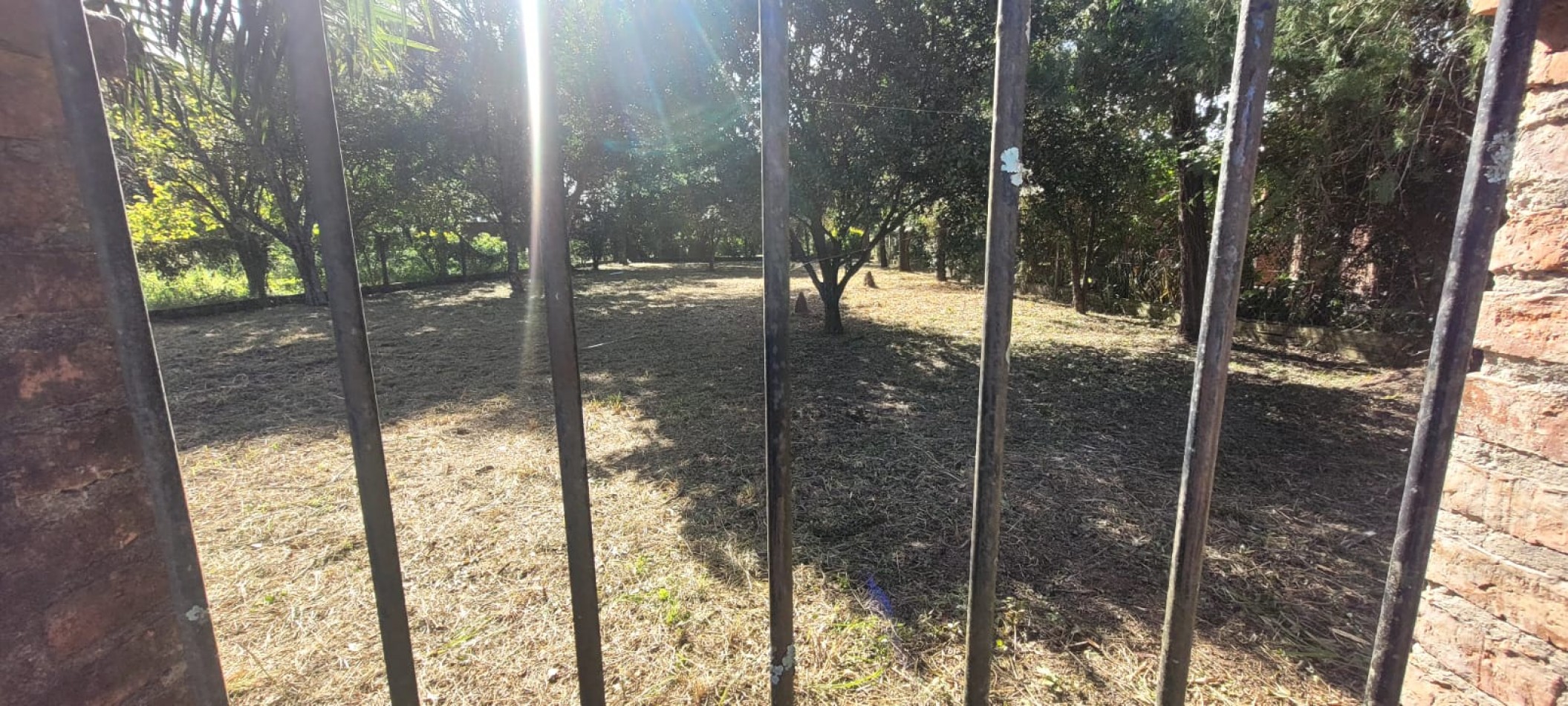 TERRENO