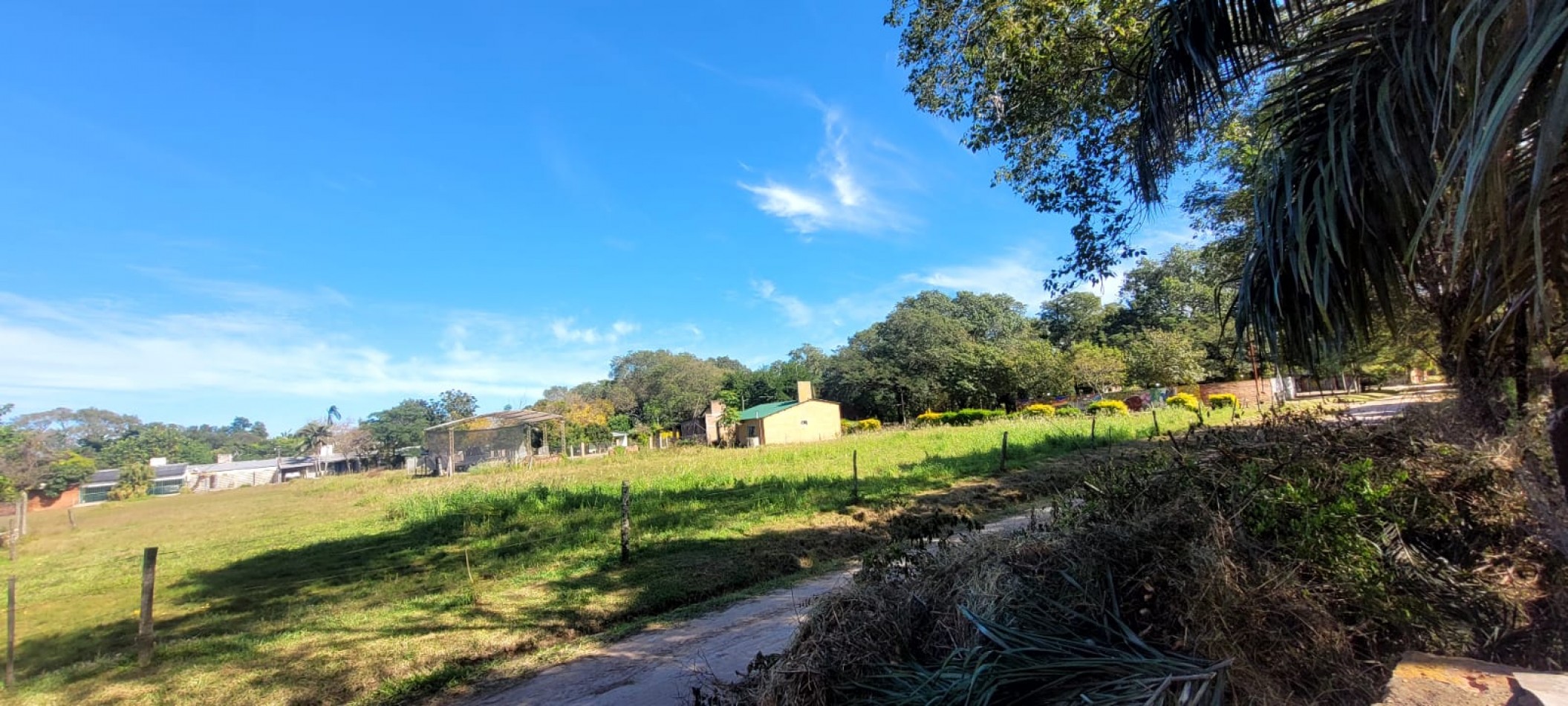 TERRENO