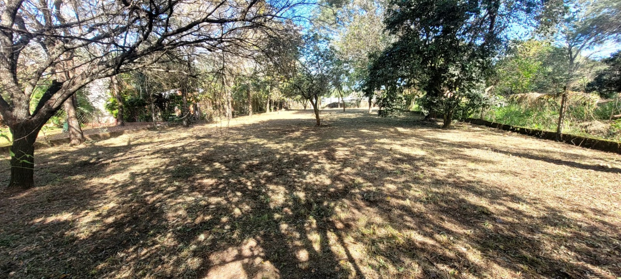 TERRENO