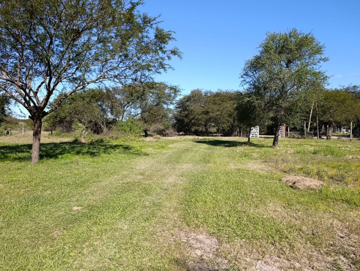 CASA QUINTA