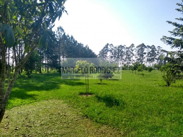 CASA QUINTA 