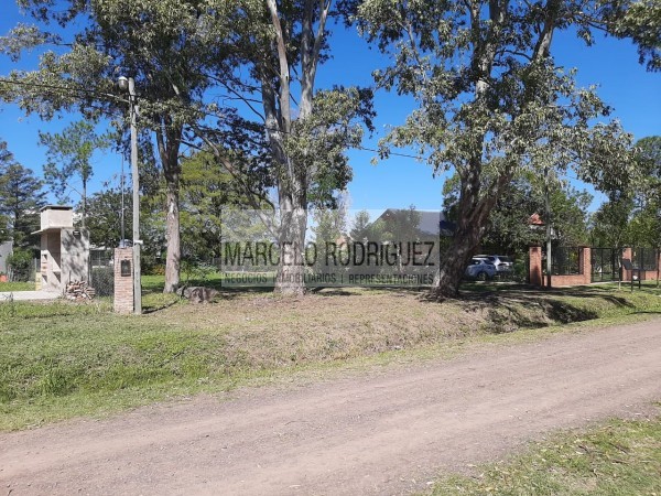 TERRENO
