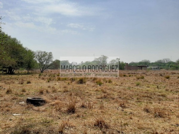 TERRENO