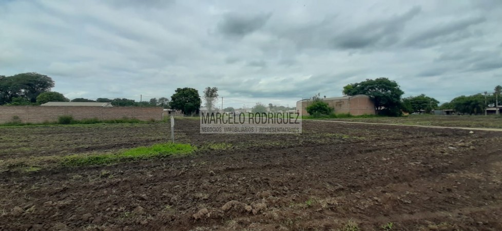 TERRENOS 
