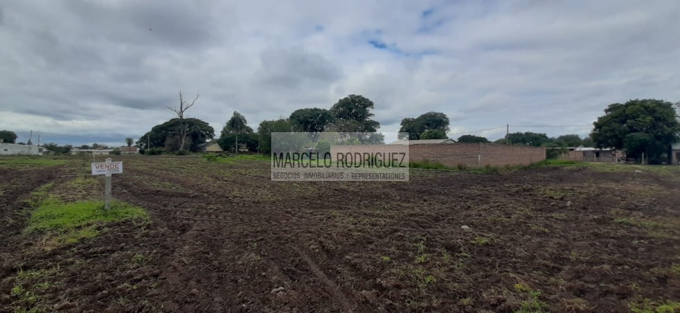 TERRENOS 