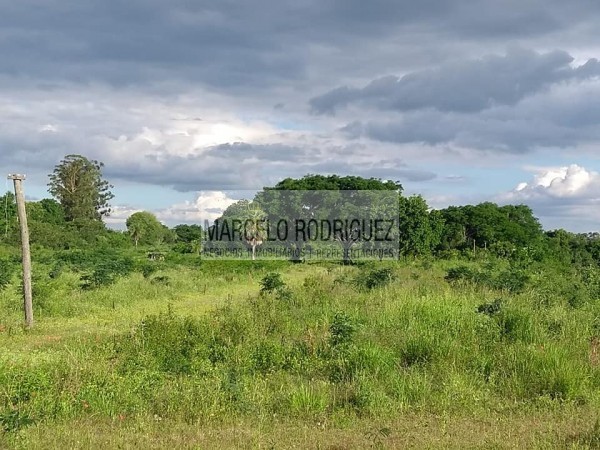 TERRENO
