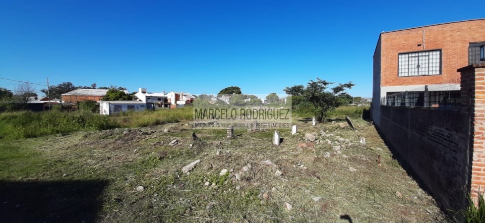 TERRENO