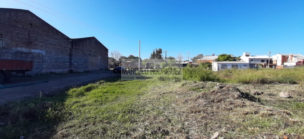 TERRENO