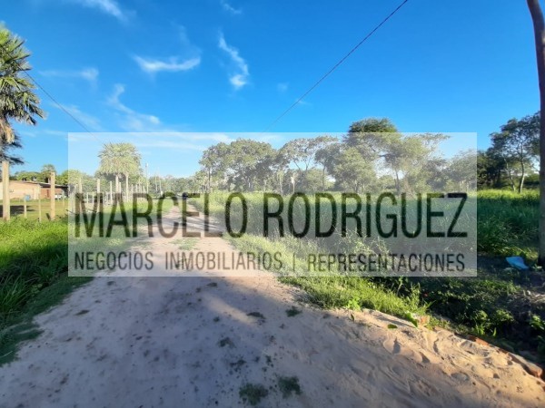 2 TERRENOS LINDANTES