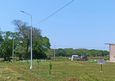 TERRENO