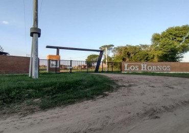 TERRENO
